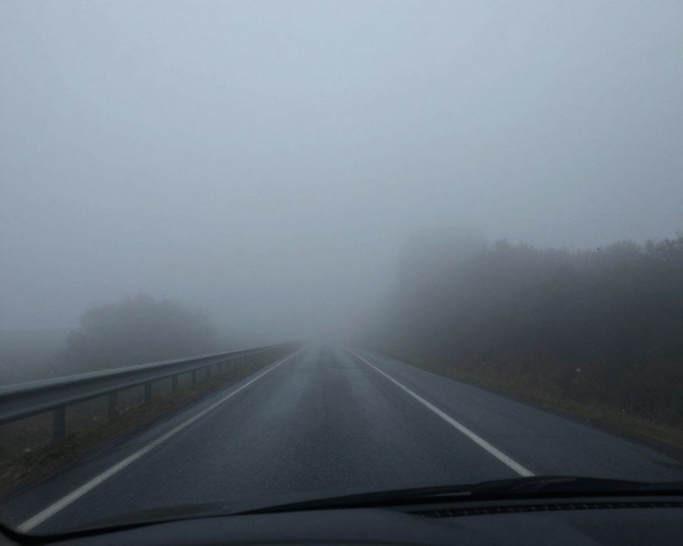 سيارة تقود في الضباب الكثيف